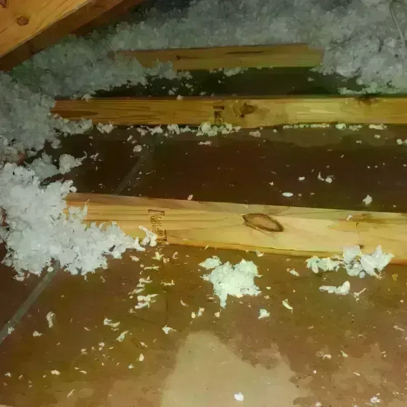 Attic Water Damage in Borough Park, NY