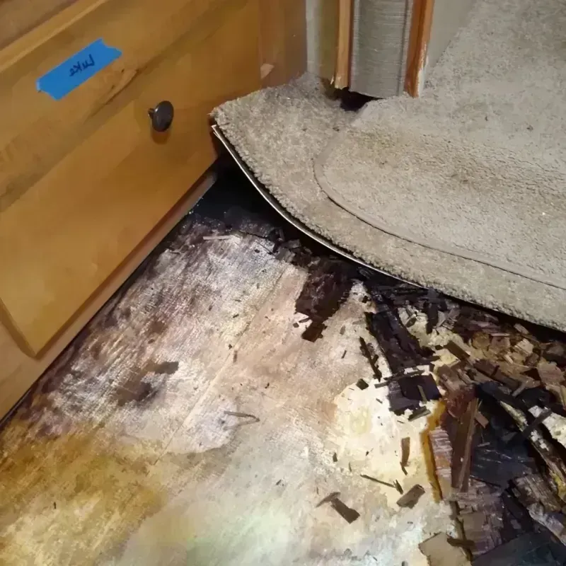 Best Wood Floor Water Damage Service in Borough Park, NY